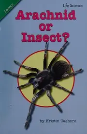 Arachnid or Insect?