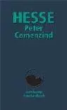 Peter Camenzind. Sonderausgabe.