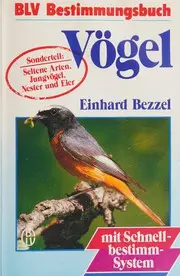 Vögel