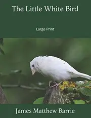 The Little White Bird
