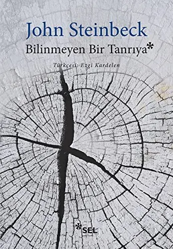Bilinmeyen Bir Tanriya