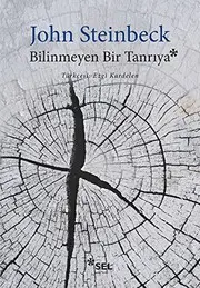 Bilinmeyen Bir Tanriya