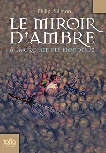 Le Miroir D'Ambre