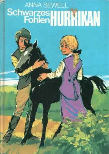 Schwarzes Fohlen Hurrikan