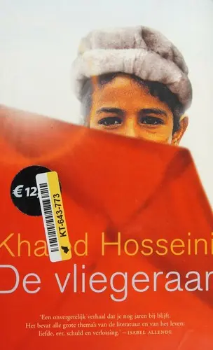 De vliegeraar