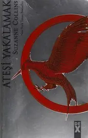 Ateşi yakalamak