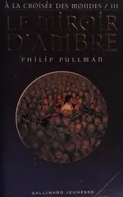 Le miroir d'ambre