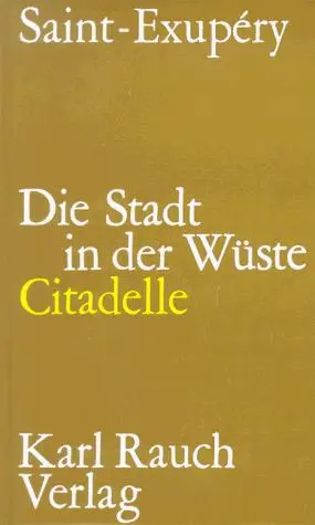 Die Stadt in der Wüste. Citadelle.