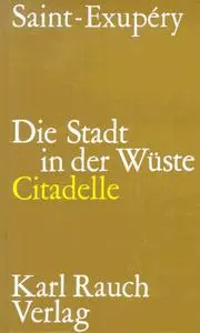 Die Stadt in der Wüste. Citadelle.