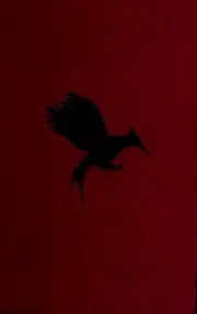 Catching Fire