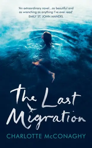 Last Migration
