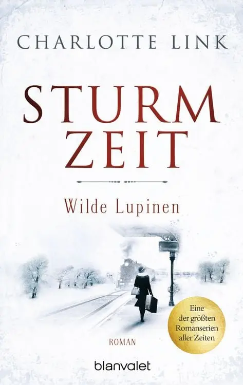Sturmzeit - Wilde Lupinen
Roman