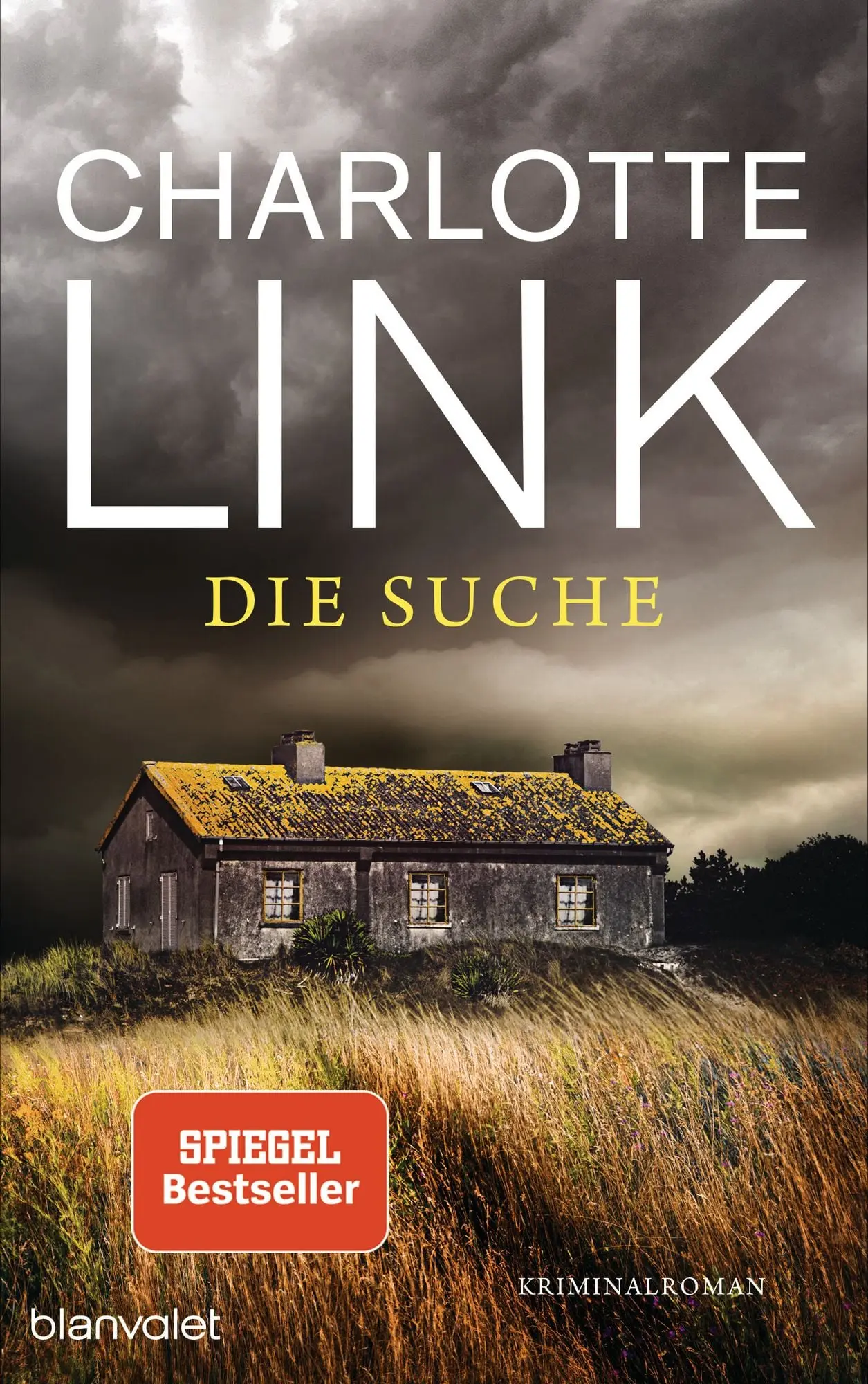 Die Suche Kriminalroman -