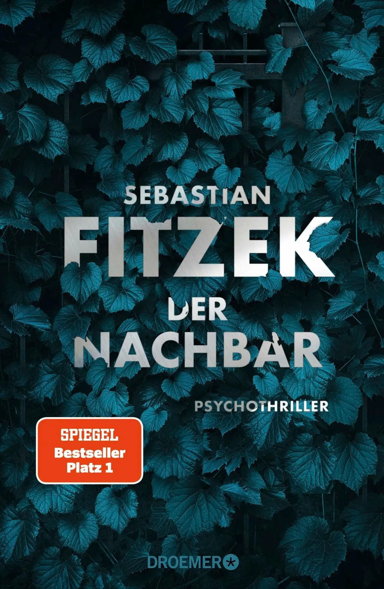 Der Nachbar Psychothriller