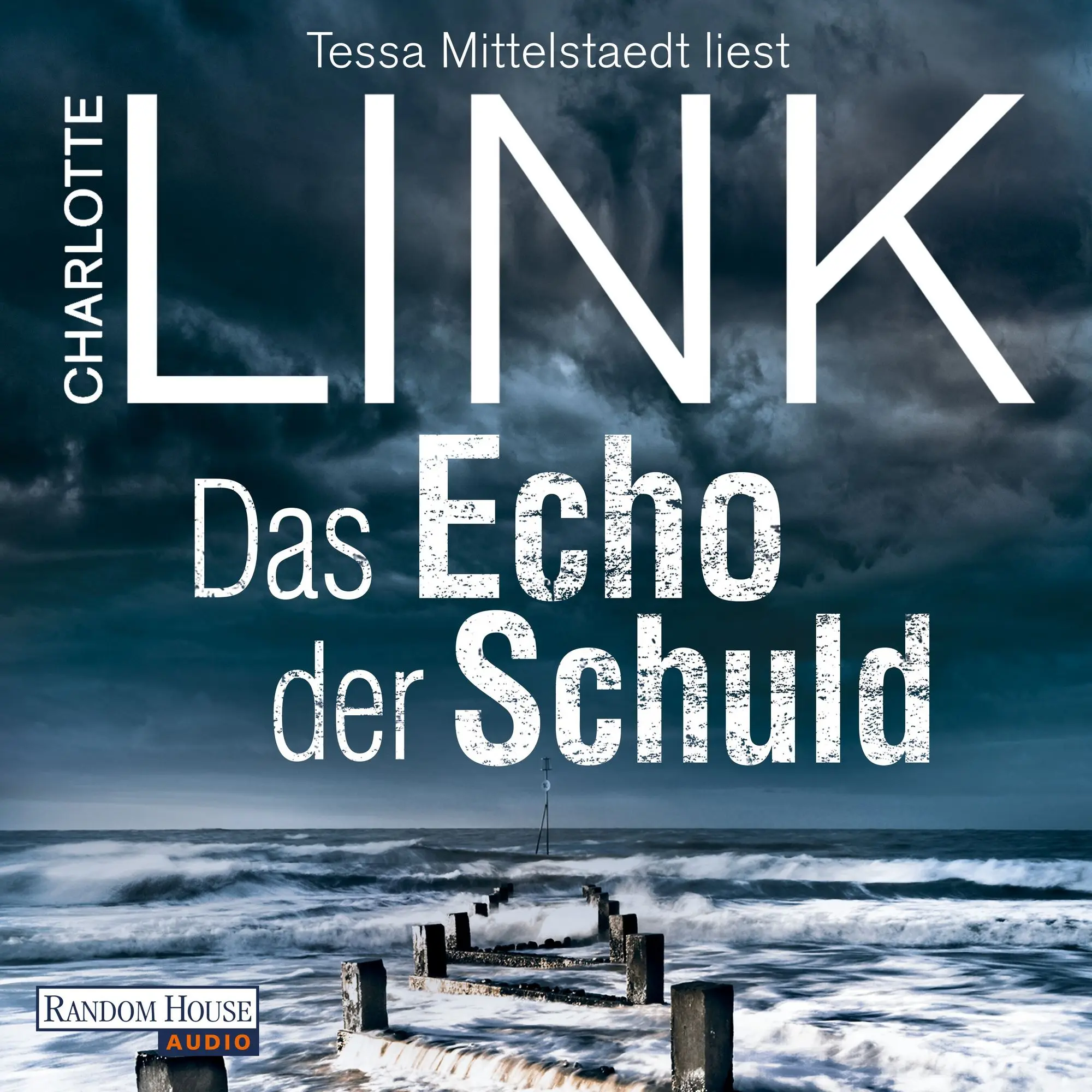 Das Echo der Schuld Kriminalroman