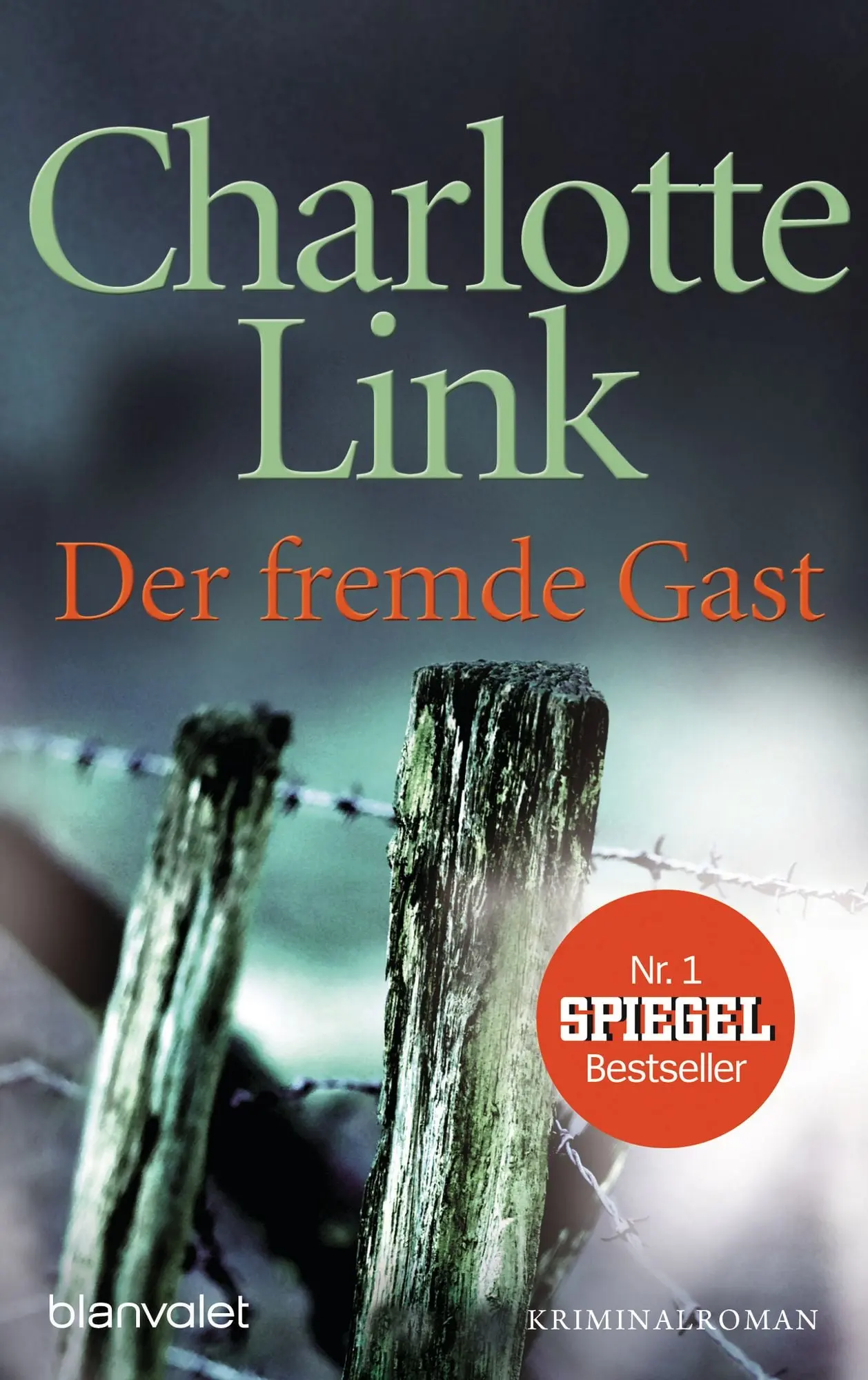 Der fremde Gast Kriminalroman