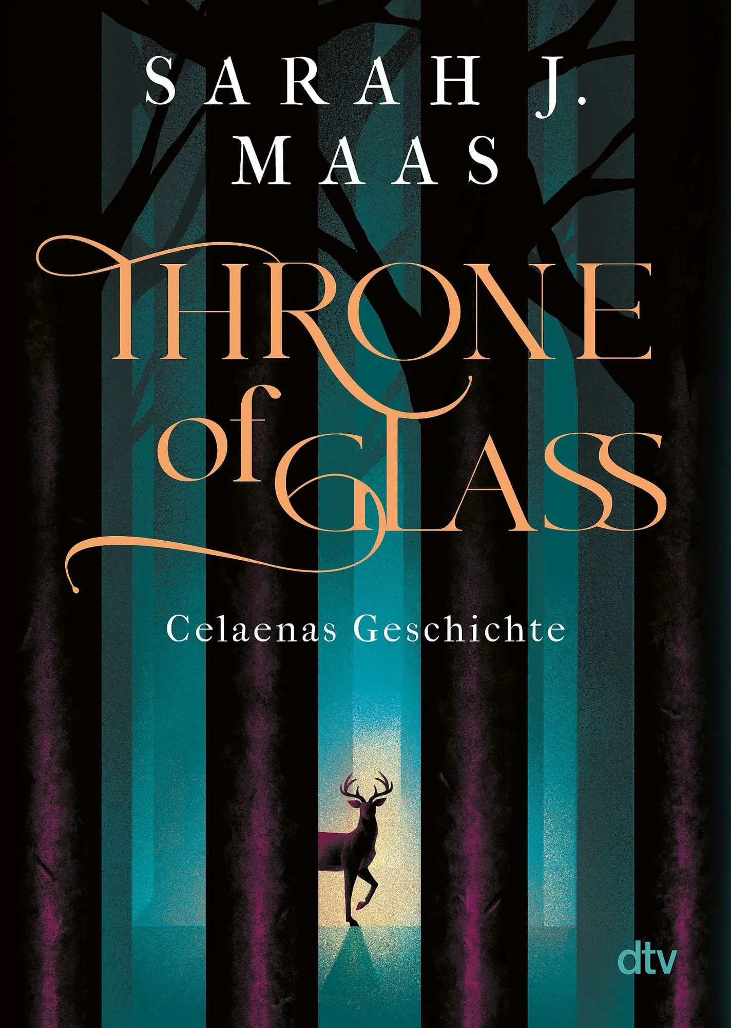 Throne of Glass – Celaenas Geschichte Roman