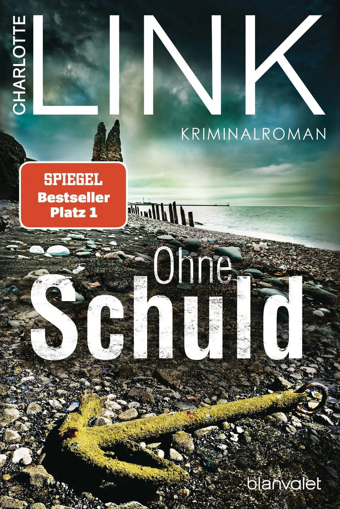 Ohne Schuld Kriminalroman - Die große Bestseller-Verfilmung in der ARD - Erstausstrahlung am 14.9.24 und in der Mediathek!