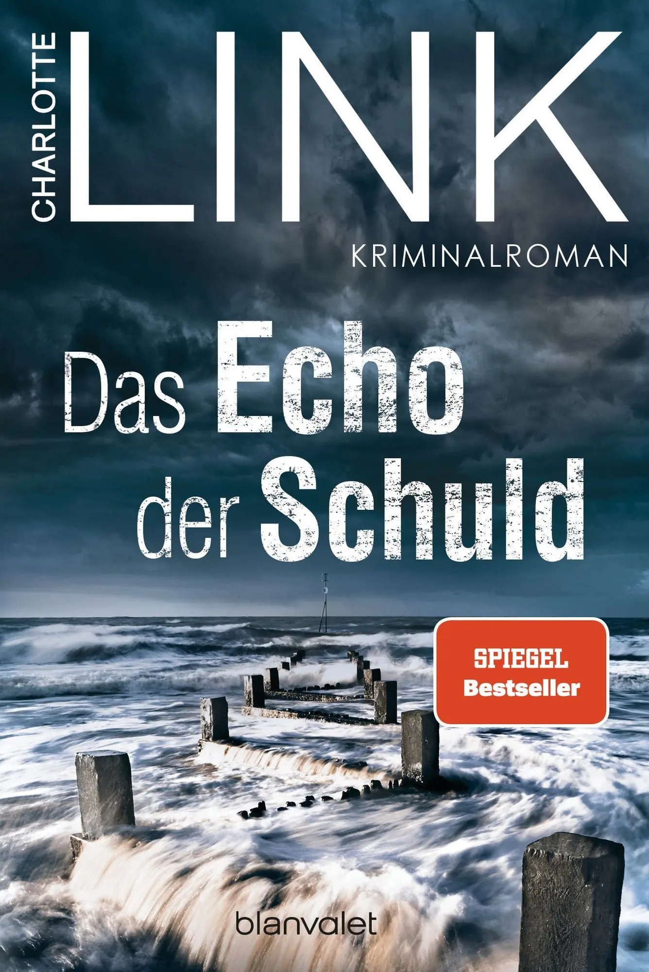 Das Echo der Schuld Kriminalroman