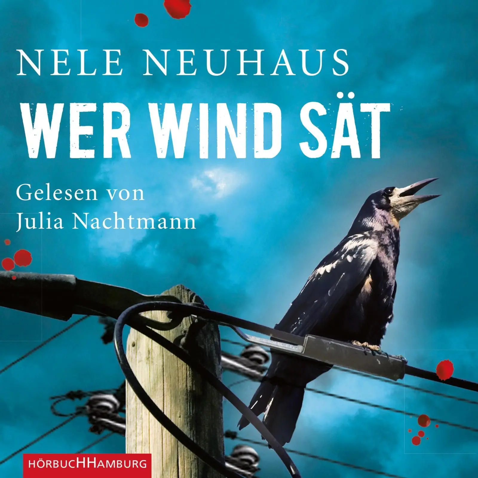 Wer Wind sät (Ein Bodenstein-Kirchhoff-Krimi 5)