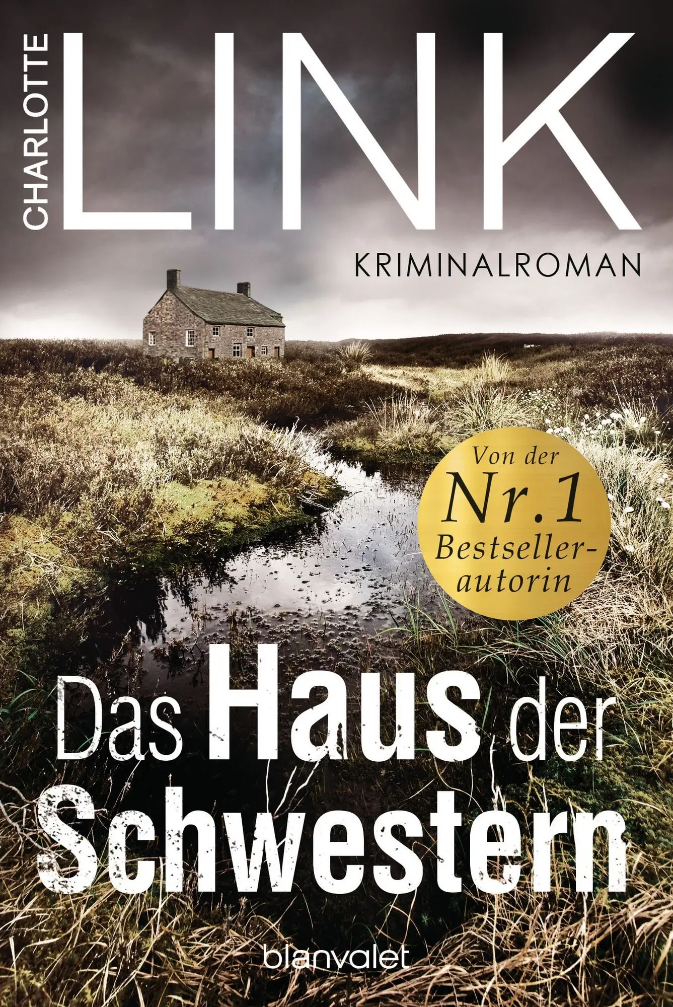 Das Haus der Schwestern Kriminalroman