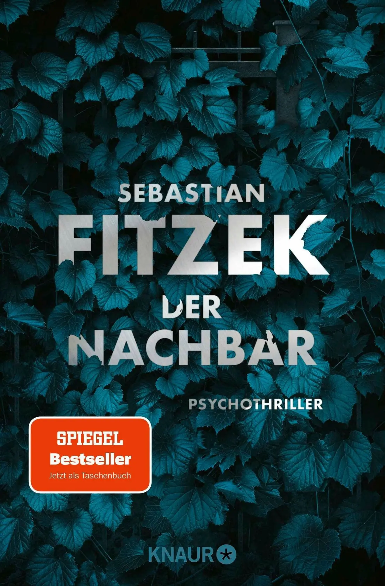 Der Nachbar Psychothriller