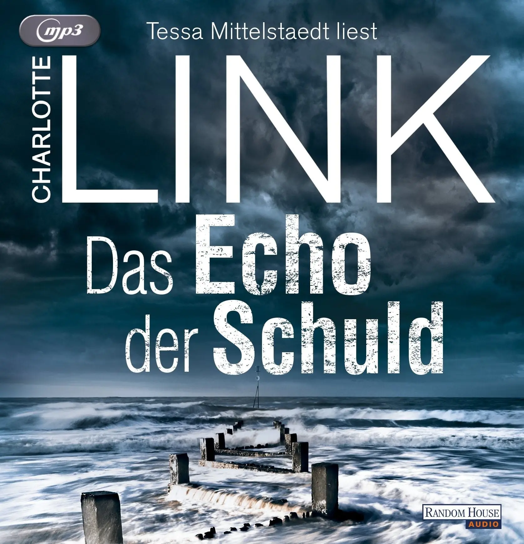 Das Echo der Schuld Kriminalroman