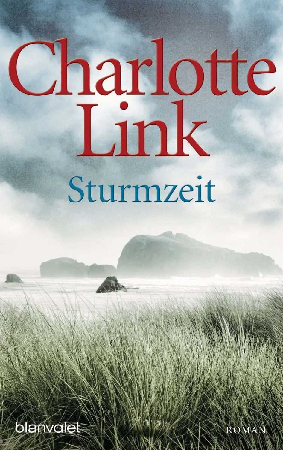 Sturmzeit Roman