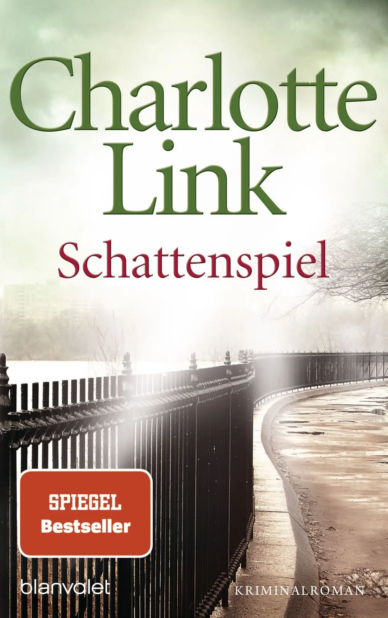Schattenspiel Kriminalroman