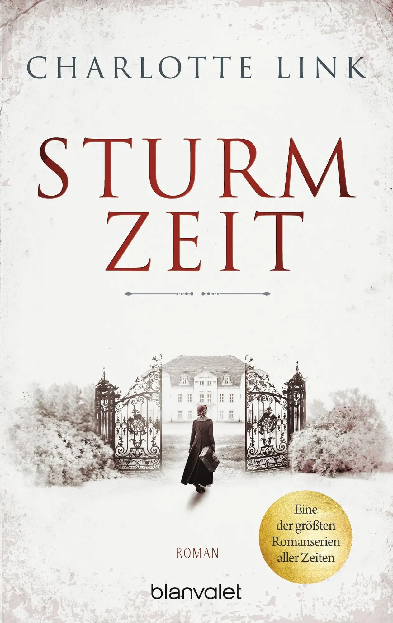 Sturmzeit Roman