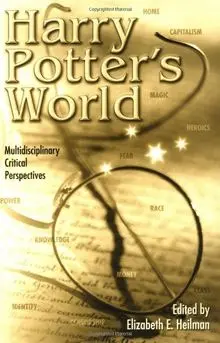 Harry Potter's World: Multidisciplinary Critical Perspectives: Multidiciplinary Critical Perspectives (Pedagogy and Popular Culture)